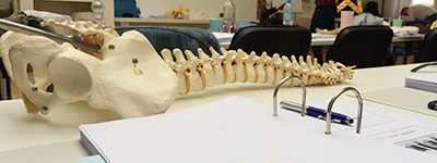 FSST Seminar Wirbelsaeule 400×150 Chiropraktik FSST Seminar Wirbelsaeule